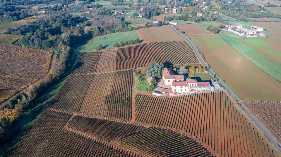 Tenuta San Lorenzo: Wine & Food Tasting Experience - Wine Purchasing Options