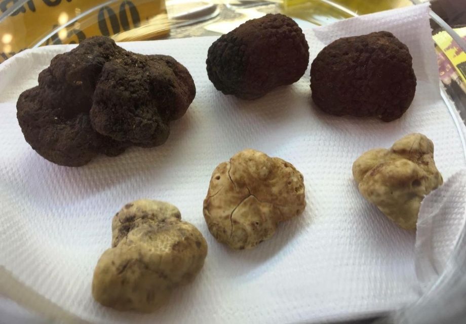 The Truffle Experience in Rome - Frequently Asked Questions