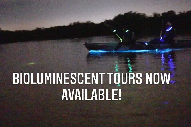 Thousand Islands Bioluminescent Kayak Tour With Cocoa Kayaking! - Guest Reviews and Experiences