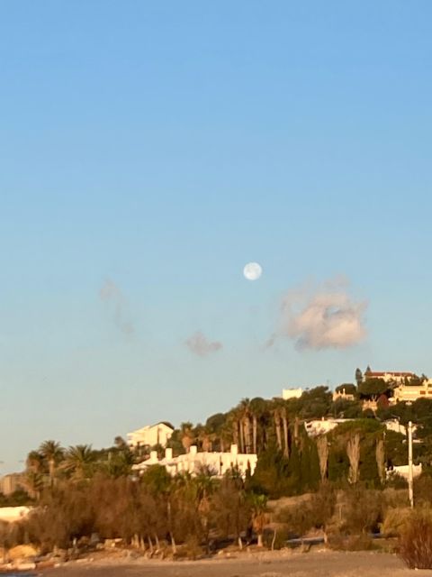 Tour in Athens Riviera and Amazing Beaches - Customer Feedback