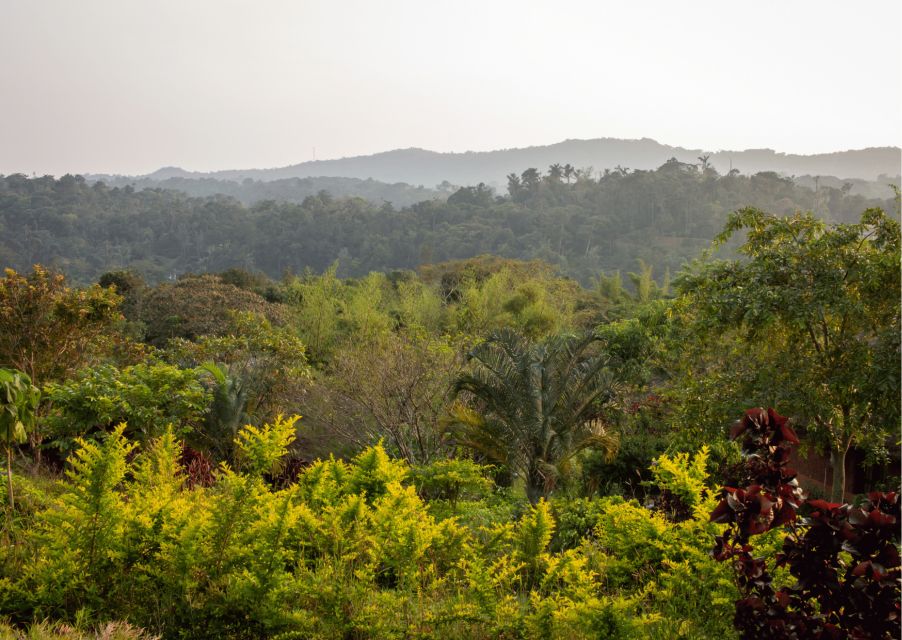 Touristic Highlights of Coorg (Guided Full Day Tour by Car) - Travel Tips for Coorg