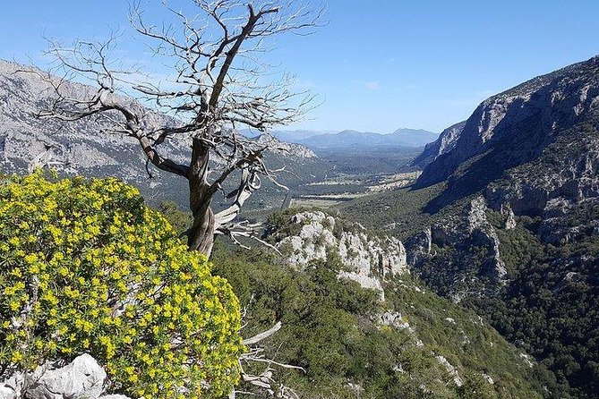 Trekking to Monte Tiscali - Oliena - Reviews From Previous Travelers