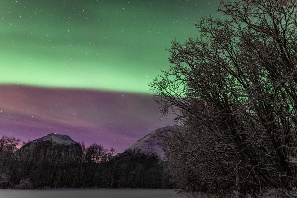 Tromsø: Northern Light Tour With Campfire and Hotel Transfer - Exclusive Discounts