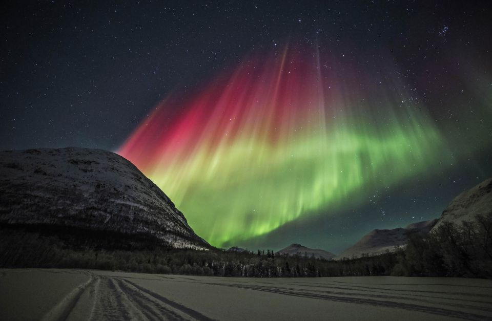 Tromso: Northern Lights Photography Bus Tour - Customer Reviews and Ratings