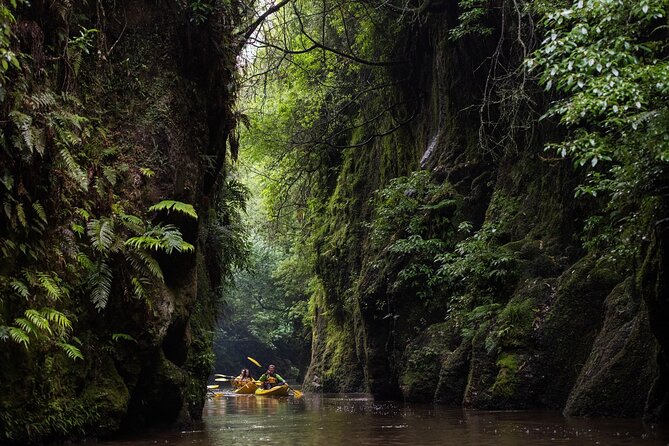 Twilight Kayak Glow Worm Tour - Tips for an Enjoyable Tour