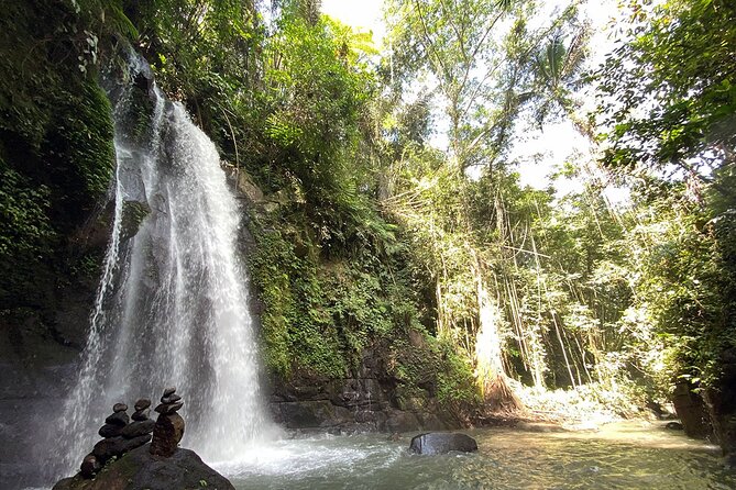 UBUD: Half Day Ubud Tour With Holy Water Body Cleansing - Tips for Travelers