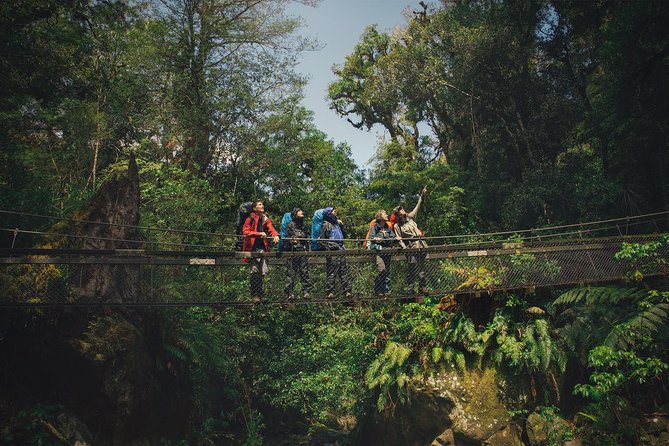Ultimate New Zealand - Hiking New Zealand - 23 Days - Group Dynamics