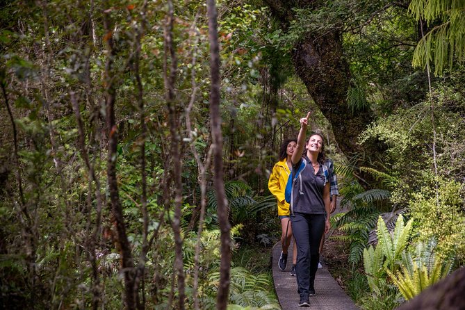 Ulva Island Explorer From Stewart Island - Traveler Experiences