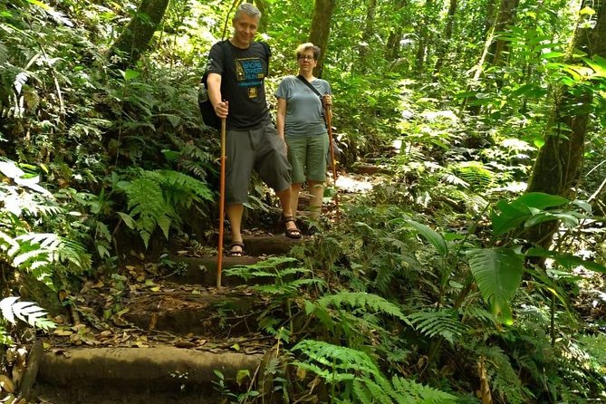 Vermont Nature Trail Tour With Frasers Taxi and Tours - Tips for an Enjoyable Experience