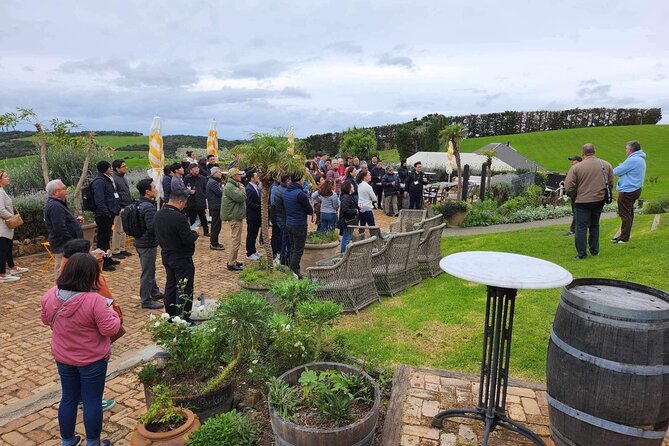 Waiheke Island Scenic Tour Wine+Lunch at Award Winning Restaurant - Booking Information and Pricing