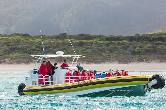 Wilsons Promontory Wilderness Cruise From Tidal River - Booking and Cancellation Policy