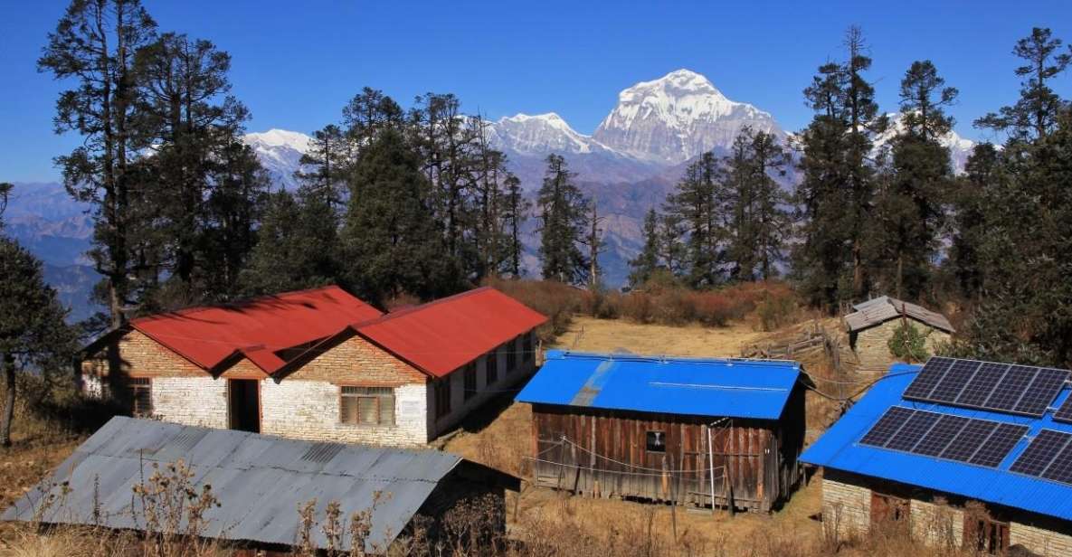 8 Day Trek to Mohare Danda - Key Points