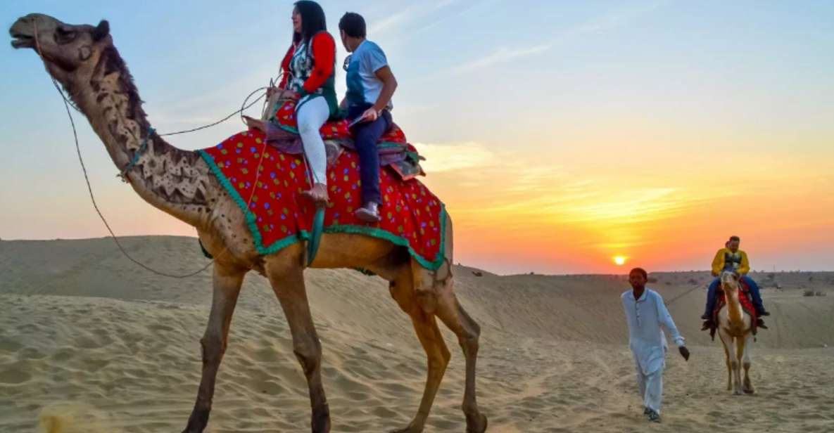 8 Days Rajasthan Tour - Jaipur, Jodhpur, Jaisalmer & Bikaner - Key Points