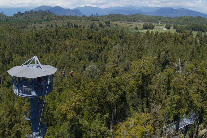 2-Hour Tower Zipline and Walkway Combo Private Guided Activity - Tips for a Great Experience