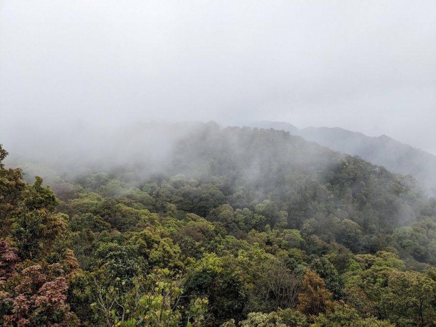 Bach Ma National Park Trekking Tour : Hoi An / Da Nang / Hue - Booking Information