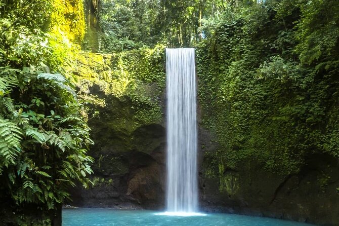 Bali Snorkeling at Blue Lagoon With Waterfall Include Lunch - Traveler Reviews and Feedback