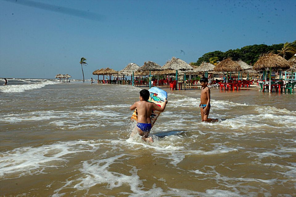 Belém: Marajó Island Day Trip With Buffalo Farm Visit - Tips for Travelers