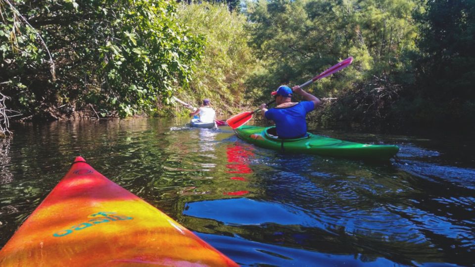 Bosa: Temo River Kayak Rental - How to Book Your Kayak Adventure