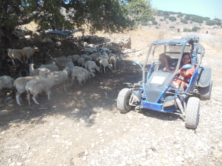 Buggy Safari Crete (Transfer and Lunch) Analipsi- Hersonisos - Scenic Beach Recap