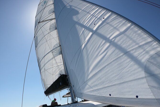 Catamaran in Alghero, Daily Boat Trip - Tips for an Enjoyable Trip