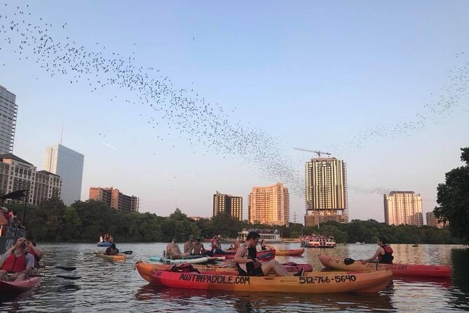 Congress Avenue Bat Bridge Kayak Tour in Austin - Booking and Cancellation Policies