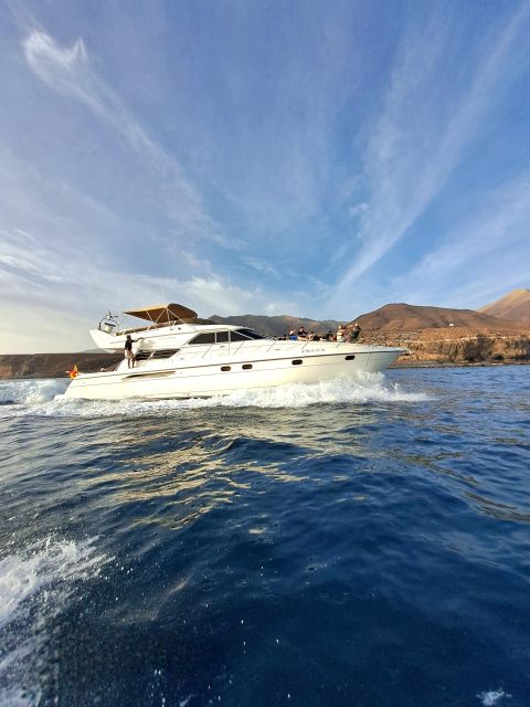 Dolphin & Whale Watching With Luxury Yacht - Additional Information