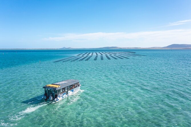 Experience Coffin Bay Oyster Farm and Bay Tour - Tips for Your Visit