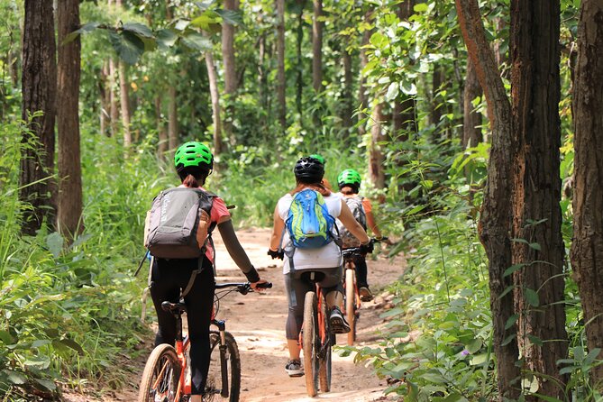 FIELDS OF GOLD Mountain Biking Tour Chiang Mai - Tips for Participants