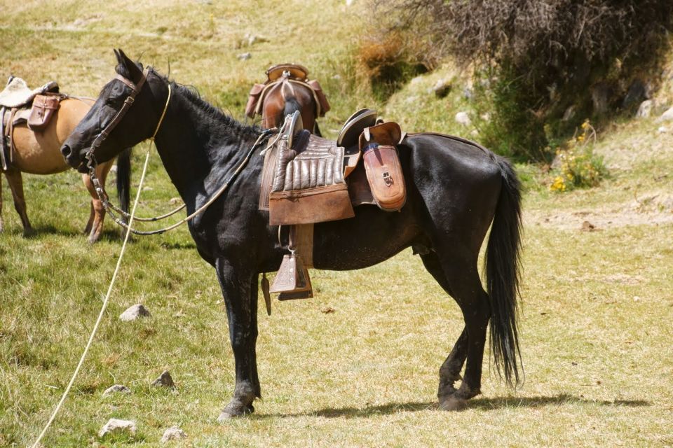 From Arequipa: Colca Valley/Canyon 2-Day Tour & Horse Riding - Frequently Asked Questions