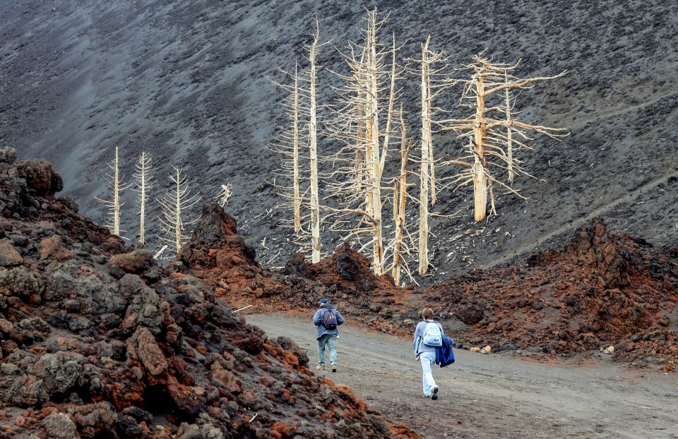 From Catania: Etna Morning or Sunset Tour With Transfer - Highlights of the Tour