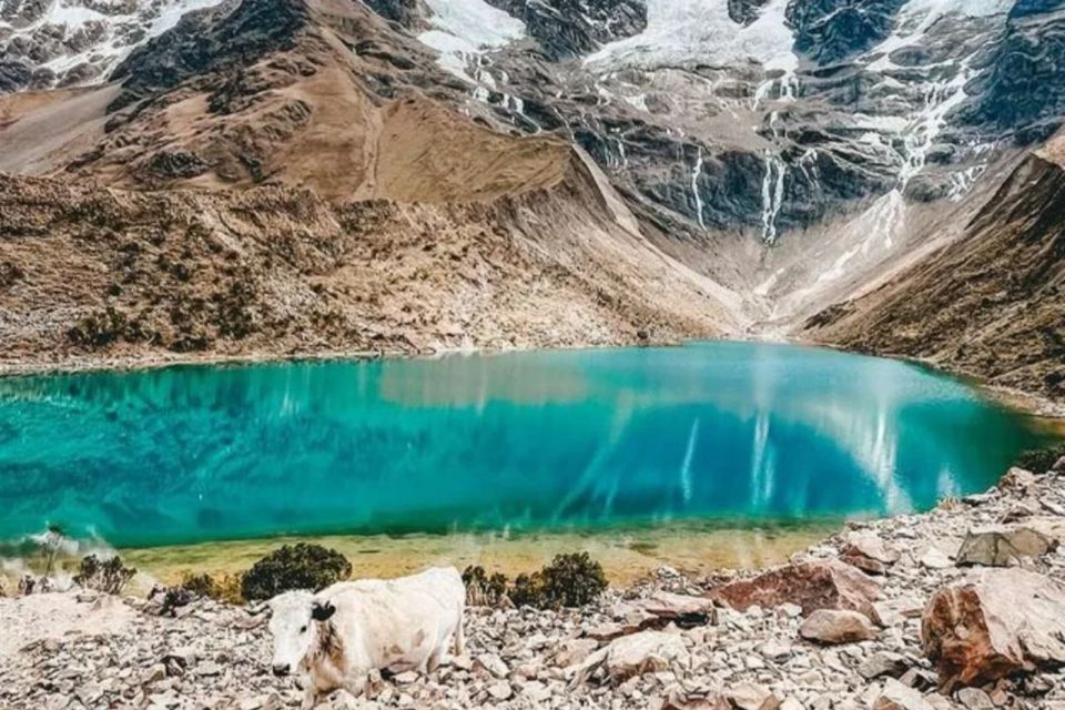 From Cusco: Full-day Tour to Humantay Lake - Booking and Cancellation Policy