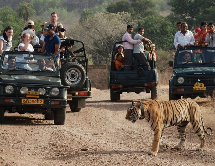 From Jaipur: Overnight Ranthambore Tiger Safari Private Tour - Safety and Accessibility