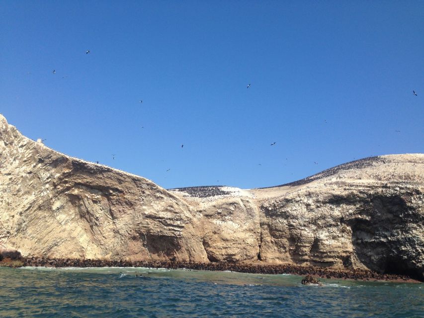 From Lima: Ballestas Islands, Huacachina, and Vineyard Tour - Frequently Asked Questions