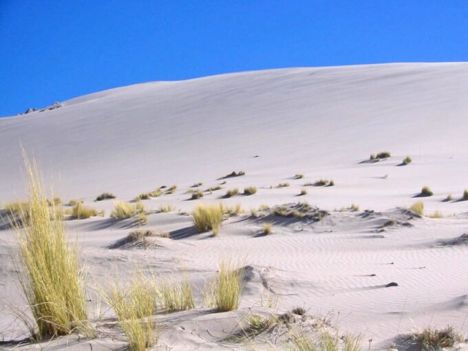 From Salta: Cafayate and Hornocal 2-Day Tour With Transfer - Frequently Asked Questions
