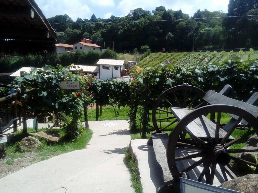 From São Paulo: São Roque Wineries Route and Shopping Tour - Planning Your Visit