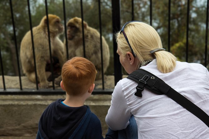 Gibraltar Rock Guided Tour - Booking Information