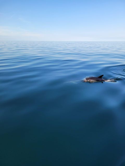 Golden Hour Boat Trip Experience - Booking Your Golden Hour Trip