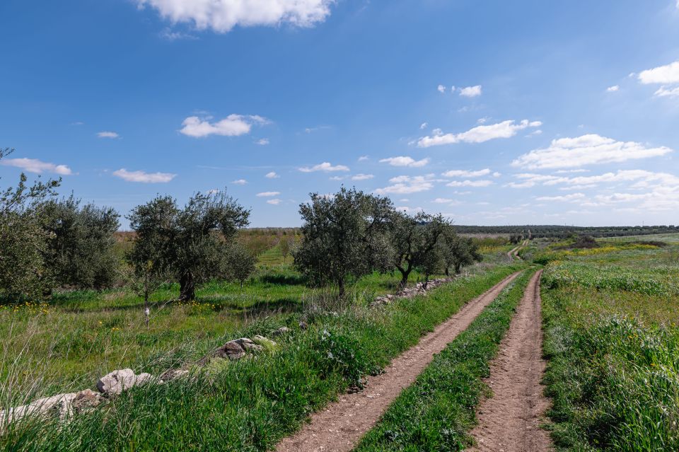 Golf Cart Tour and Aperitif in the Ancient Masseria - Tips for a Great Tour