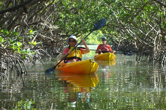 Guided Kayak Eco Tour - Bunche Beach - What to Bring on the Tour