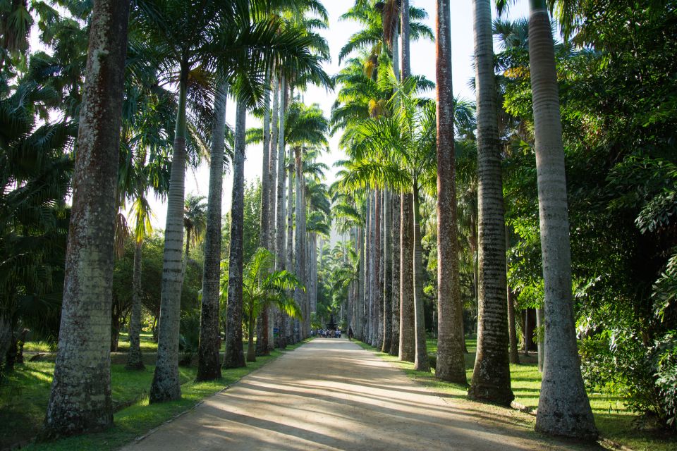 Half-Day Botanical Garden and Parque Lage Photo Tour - Booking Information