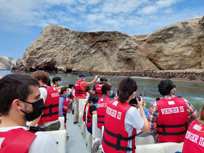 Half Day Tour: Ballestas Islands & Paracas Natural Reserve - Tips for a Great Experience