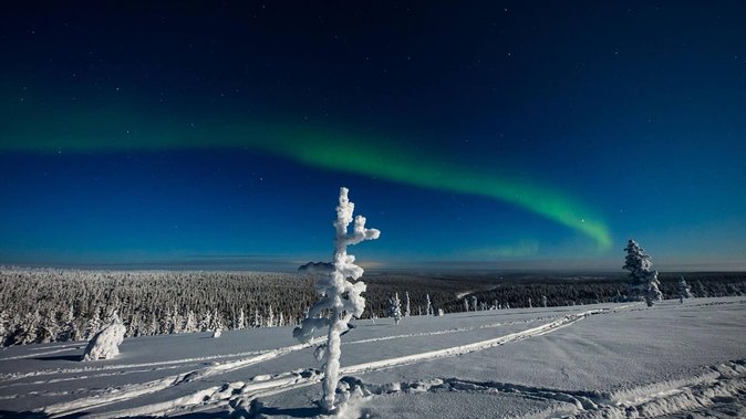 Hunting Northern Lights With Husky - Tips for an Enjoyable Adventure