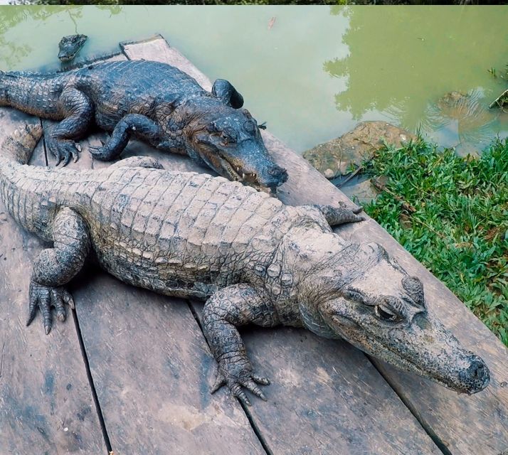 Iquitos: 6-Hour Wonderful Wildlife Guided Tour - Frequently Asked Questions