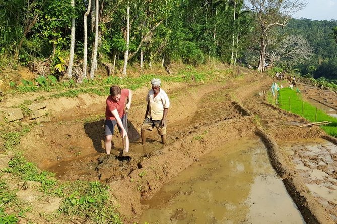 Knuckles Spice Trail Trek From Kandy - Tips for a Successful Trek