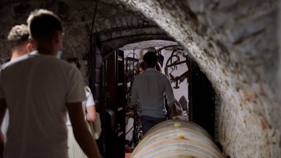 Lazise: Winery Tour With Garda Wines and Food Tasting - Booking and Cancellation Policy