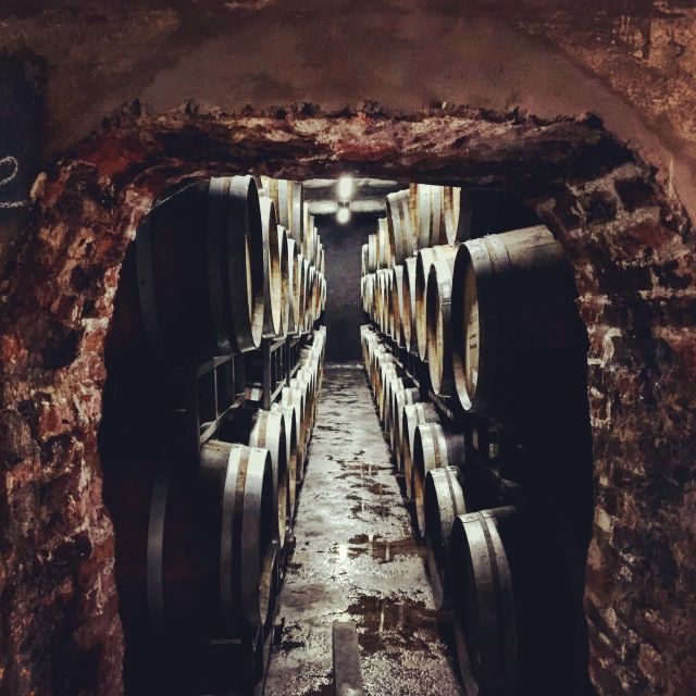 Mendoza: Private Wine Tour, Tastings and Lunch With Pairings - Booking Information