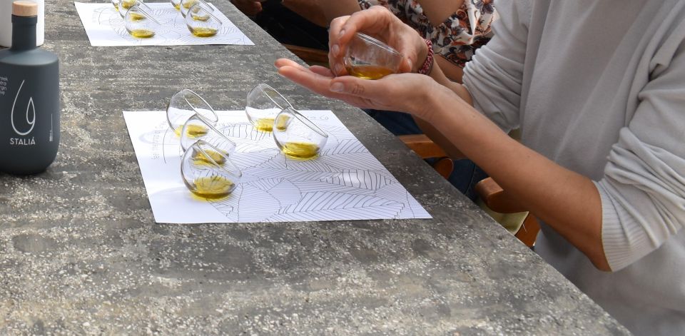 Messenia: Olive Oil Experience-Full Tour,Food Pairing,Dinner - Tasting of Olive Oils