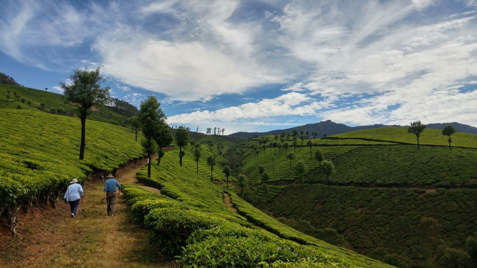 Munnar Private Day Trip - Booking Information