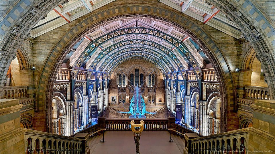 Natural Museum: Diplodocus to Blue Whale Wonders - Visitor Information and Tips