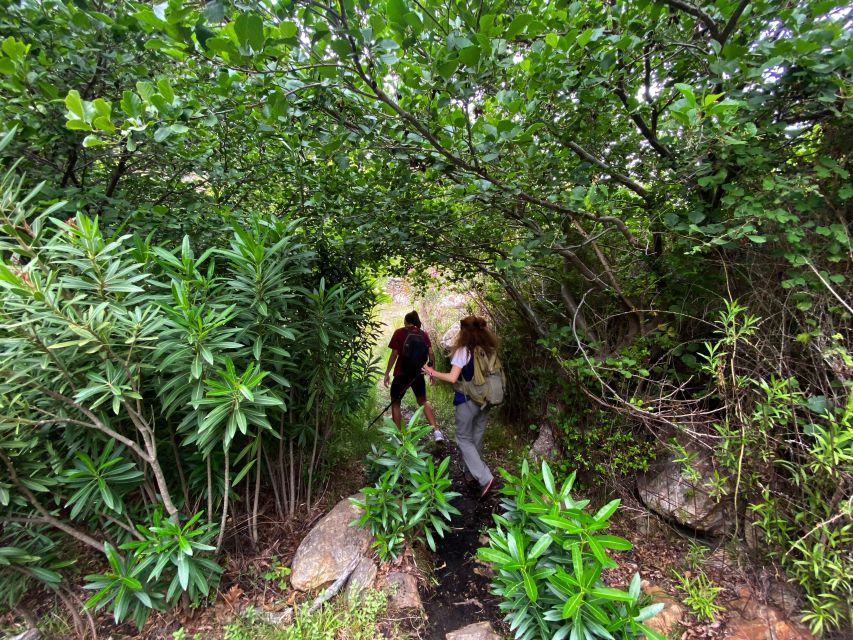 Naxos: a Riverbank Adventure (Kinidaros - Eggares Villages) - Experiencing Local Culture